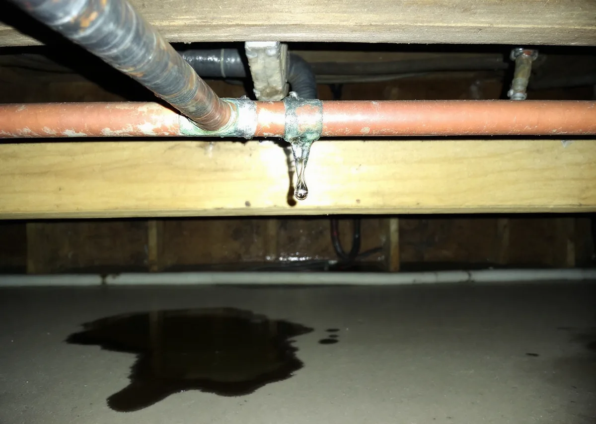Horizontal copper water pipe running along a wooden joist in a dim basement, a single clear drop of water hanging from a green-crusted solder joint and a dark puddle on the concrete floor below